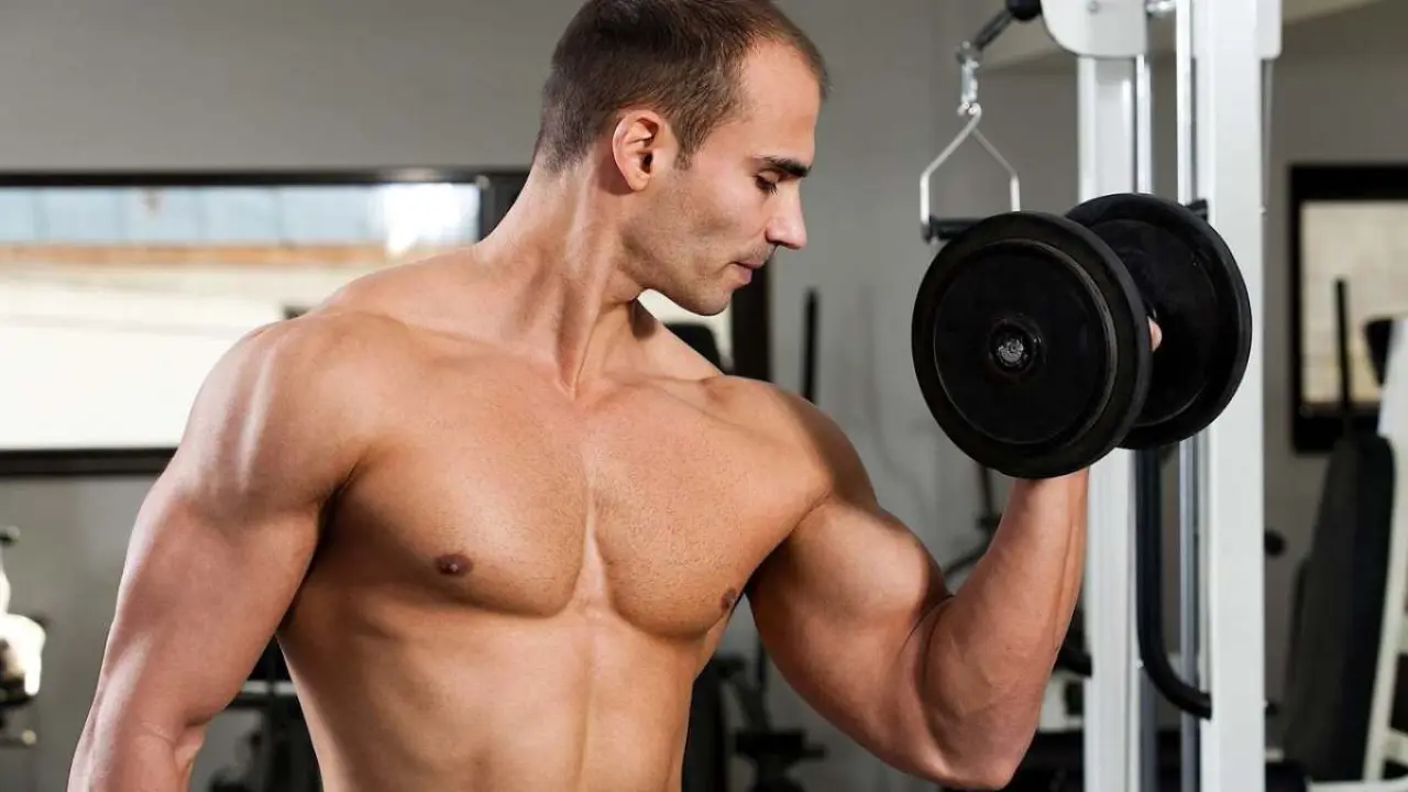 Wellhealth How To Build Muscle Tag: Infinity Guide